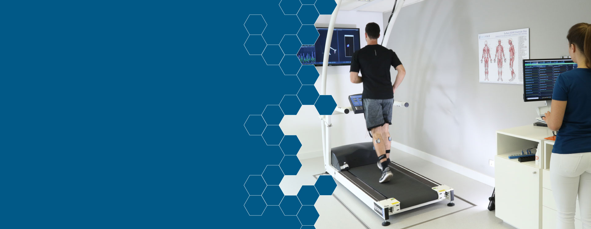 生物力学工具至简化