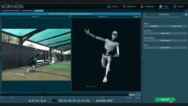 自动生成报告，可定制报告