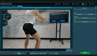 实时数据可视化与反馈